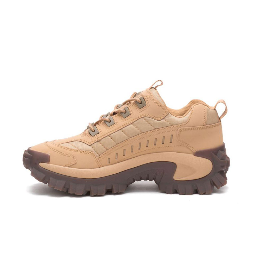 Caterpillar Intruder Sneakers Dames Bruin  Belgie |  CYBPA-0678