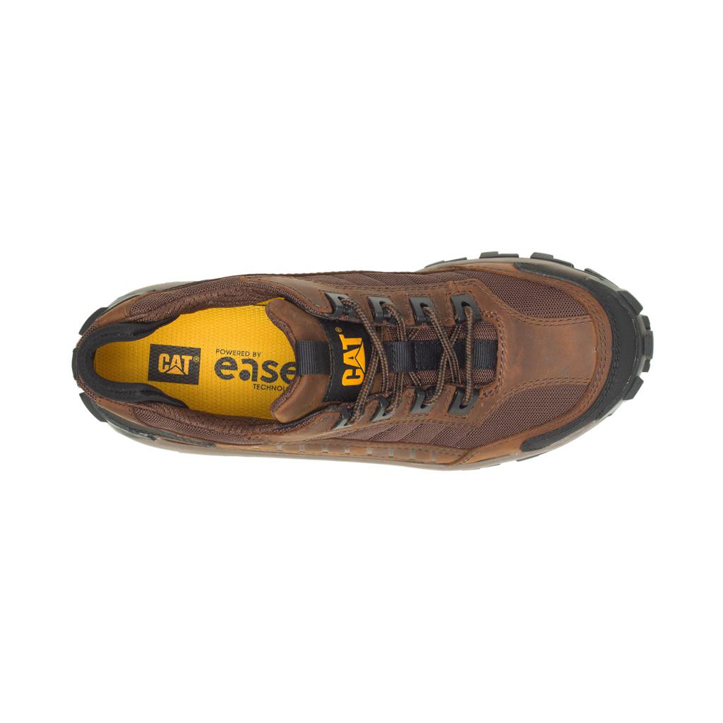 Caterpillar Invader Steel Neus Steel Toe Shoes Heren Donkerbruin  Belgie |  DTFIR-3956